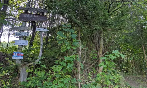 Drewniany drogowskaz w lesie wskazuje drogę do schroniska, bacówki i krzyża. To miejsce, gdzie można odpocząć po wędrówce.
